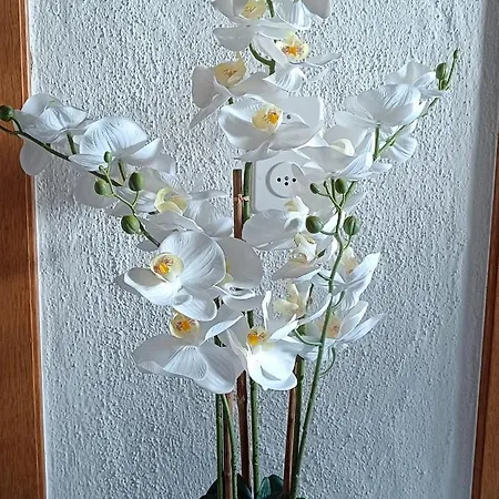 Daire Ruhige 3-zimmer-wohnung Nahe Langenthal