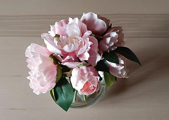 Ruhige 3-zimmer-wohnung Nahe Langenthal Roggwil (Oberaargau)