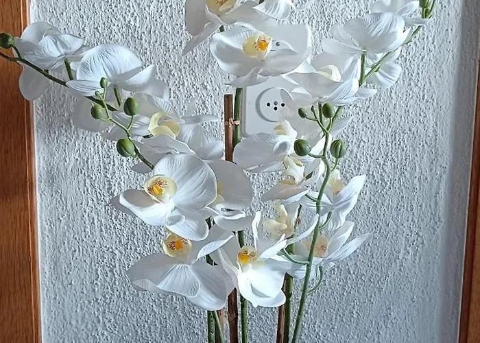 Lägenhet Ruhige 3-zimmer-wohnung Nahe Langenthal