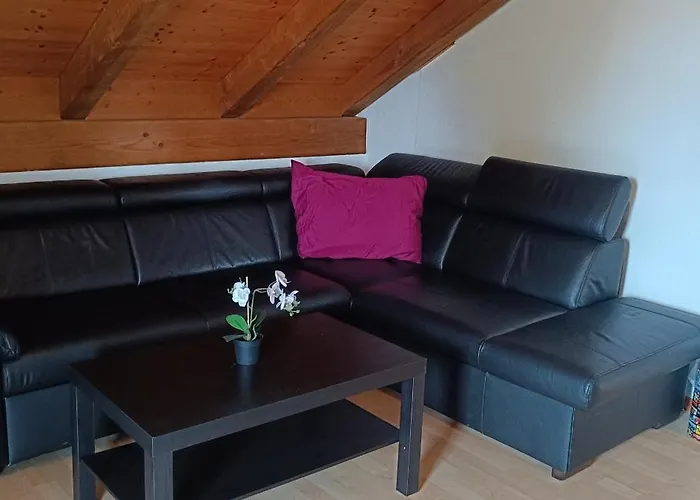 Appartement 3-zimmer Im 2 Og Mit Kochnische Und Separatem Bad Nahe Langenthal *